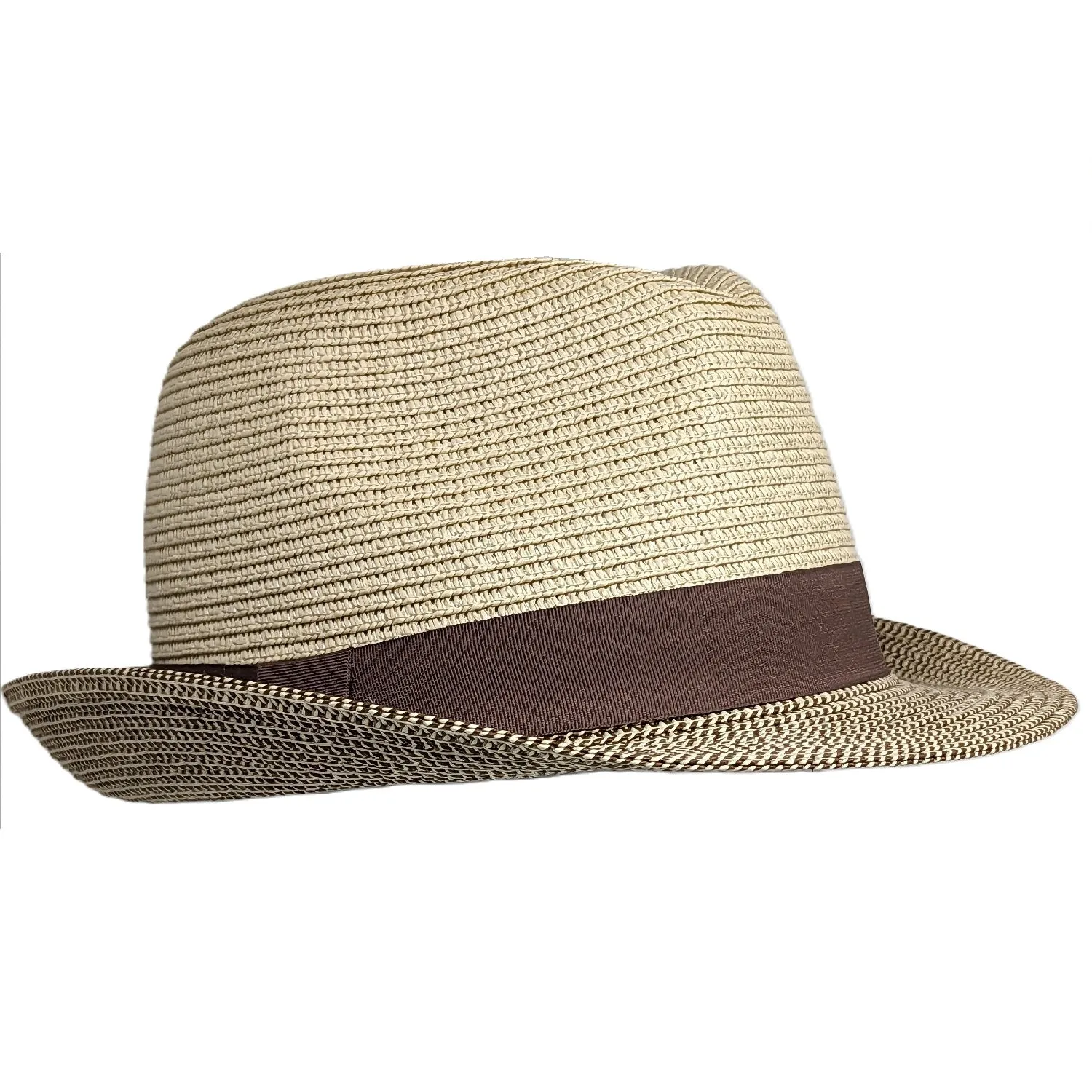 Chapeau fedora 2 tons et son ruban