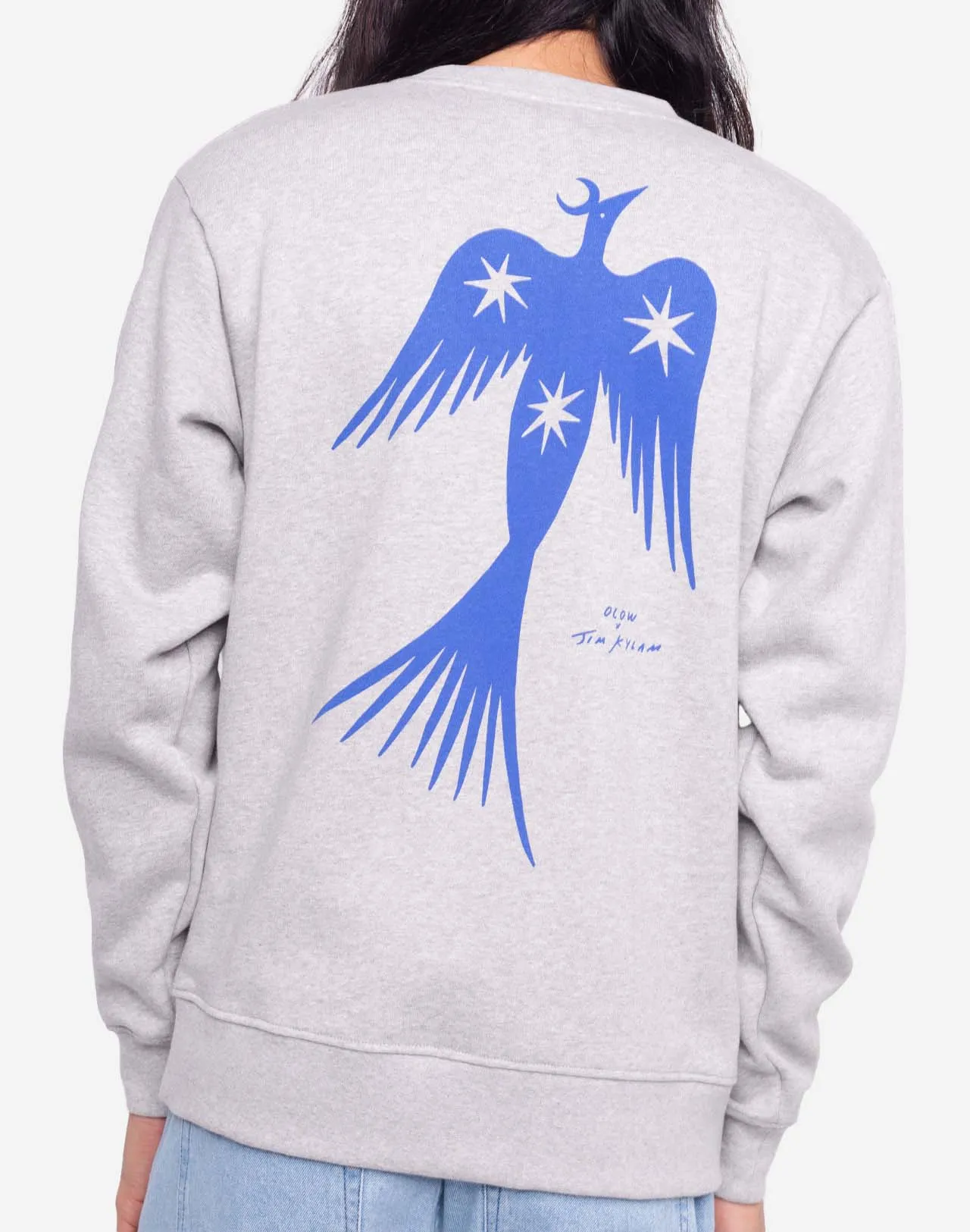 Sweat Night Bird gris chiné Taille M Couleurs Gris chiné